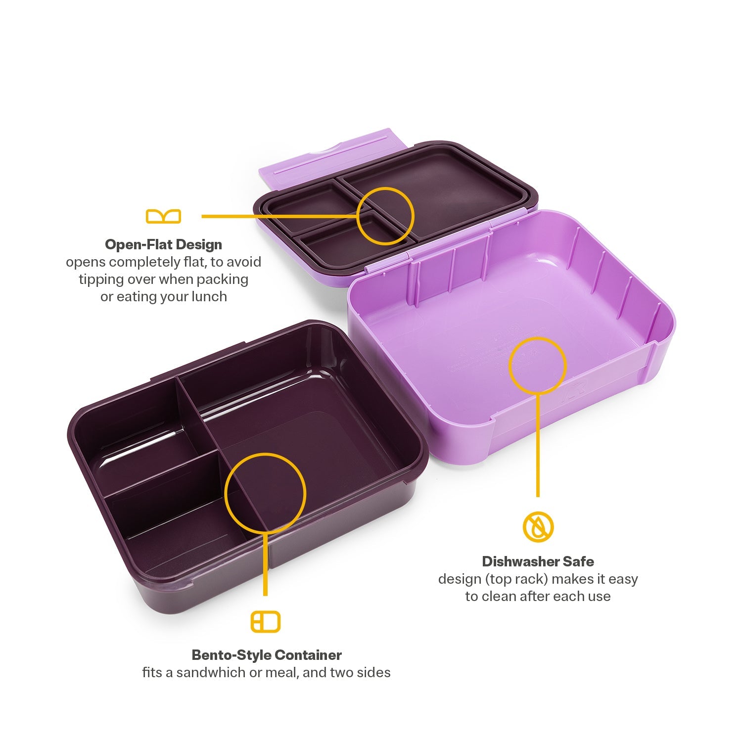 Day Packer Lunch Container