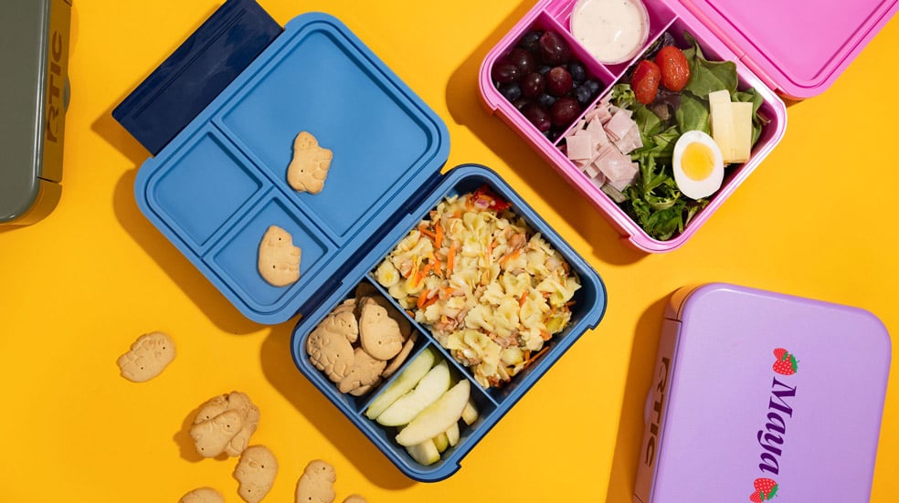 Day Packer Lunch Container